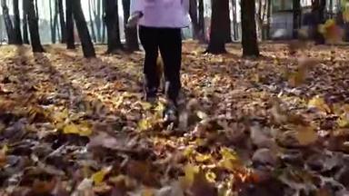 在一个阳光明媚的秋日，一个小女孩在公园的秋叶上蹦蹦跳跳地跑着